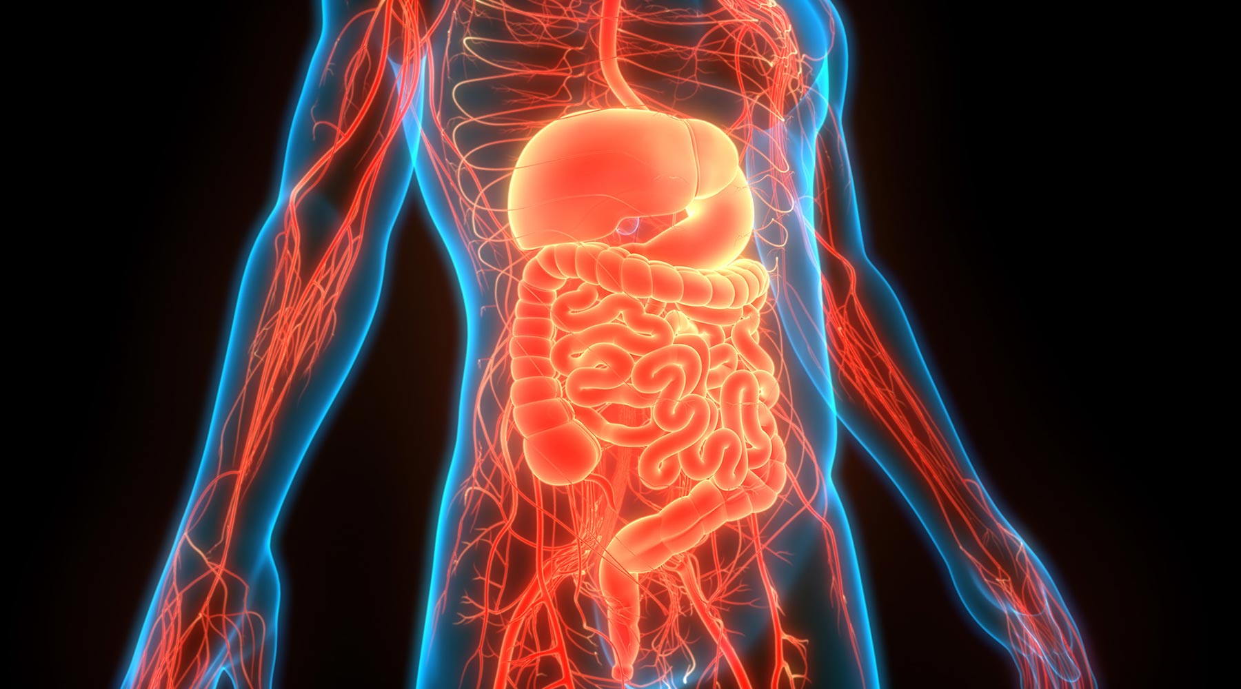 2021_Blog_Gastroenterology-2 2021_Blog_Gastroenterology-2